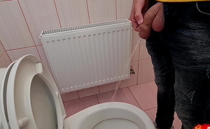 Uncircumcised cock pees on the station toilet